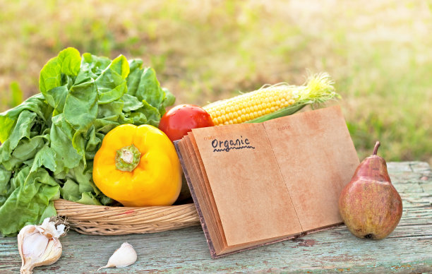 我的花园里有新鲜的有机蔬菜图片下载