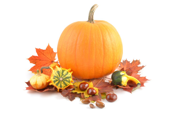 南瓜和栗子图片下载