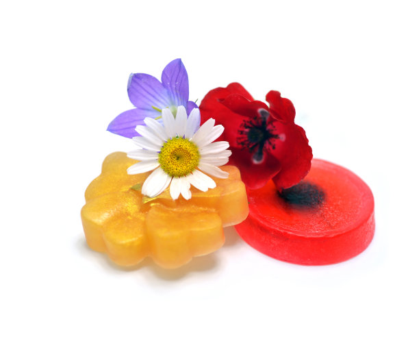 白色背景下的花朵特写镜头图片下载