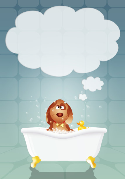 在浴室为狗梳洗图片下载