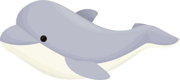 毛绒海豚图片下载