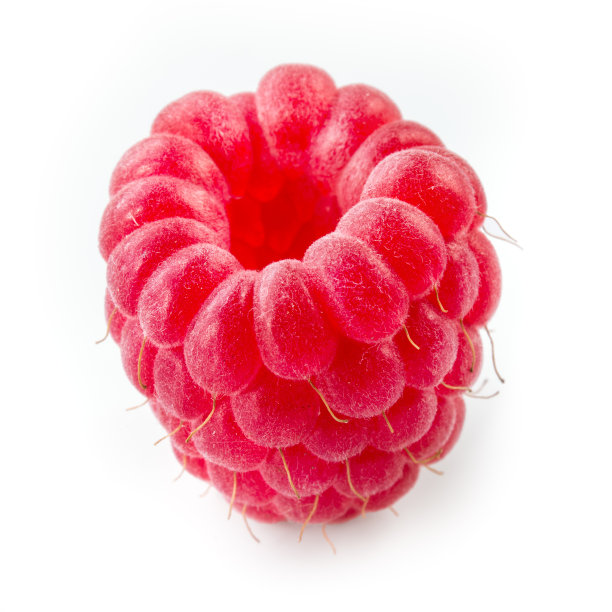 在白色背景上孤立的树莓图片下载