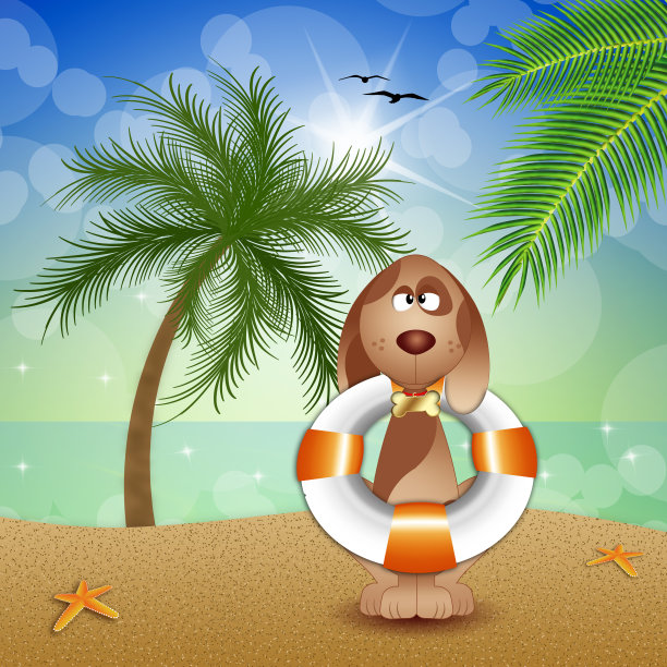 海滩上的救援犬图片下载