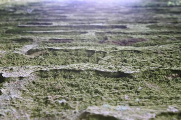 纹理的石头墙图片下载