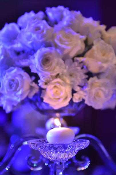 白玫瑰图片下载