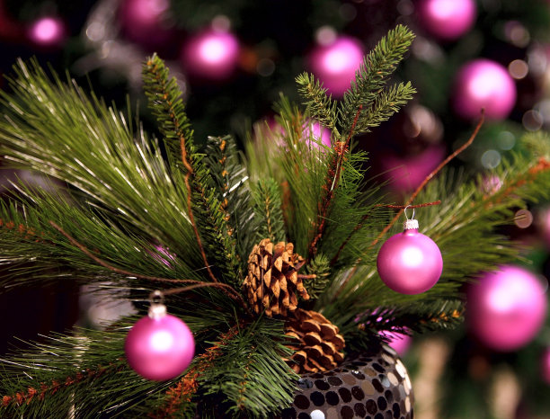 圣诞装饰图片下载