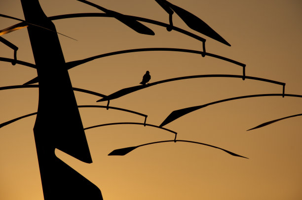 鸟在钢城树上图片下载