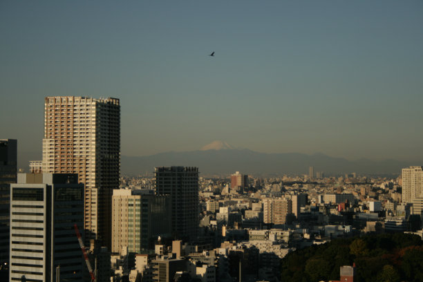 东京市景与富士山图片下载