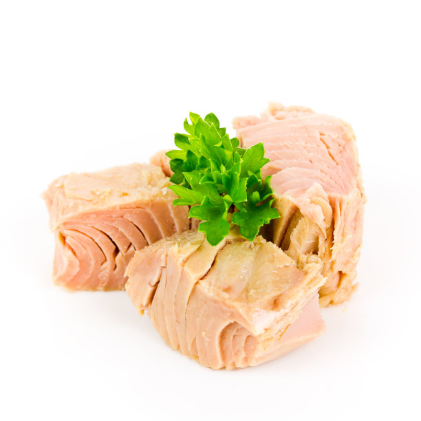 金枪鱼孤立素材图片