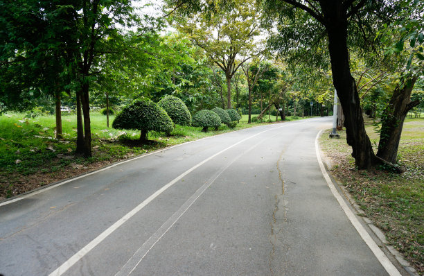 公园里的自行车道。图片下载