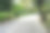 公园里的自行车道。图片下载