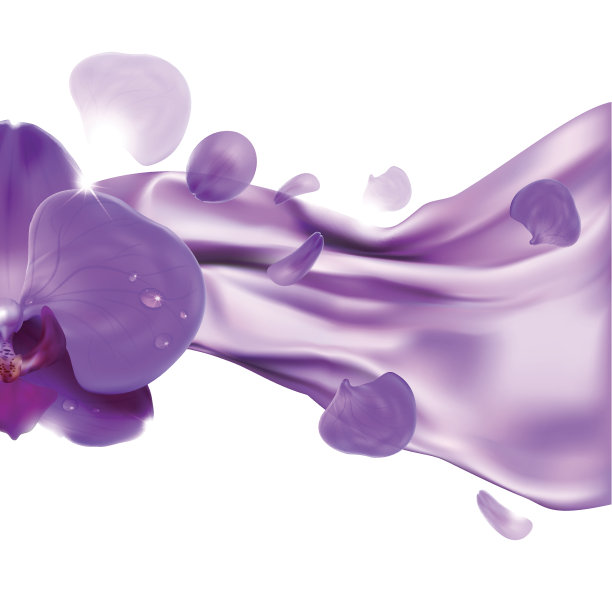 兰花和织物的褶皱图片下载