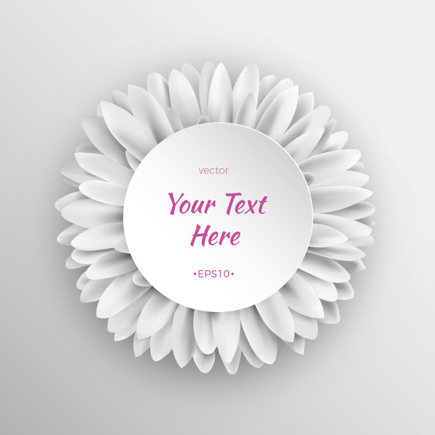 非洲菊花模板图片下载