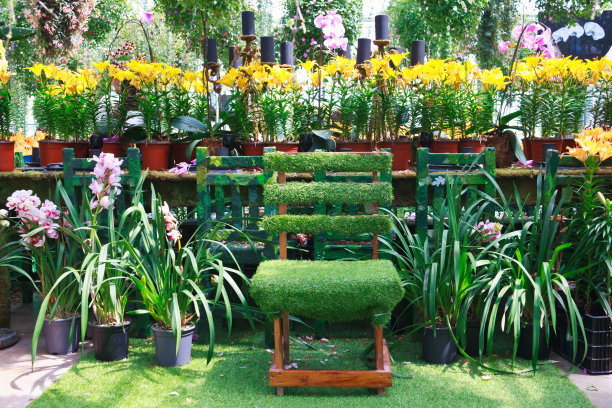 花园中的椅子图片下载