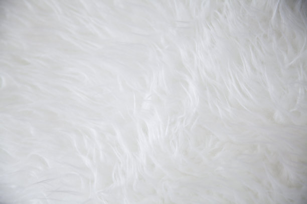 白色羊皮地毯纹理图片下载