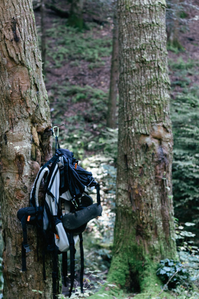 徒步旅行背包了图片下载