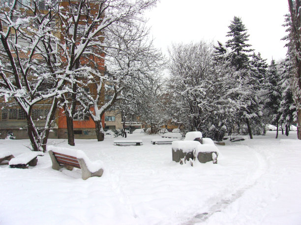 长椅和人行道上的雪，城市公共公园图片下载