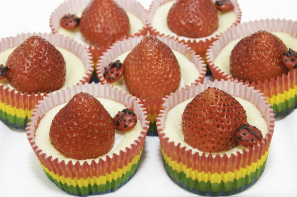 芝士蛋糕、草莓和瓢虫图片下载