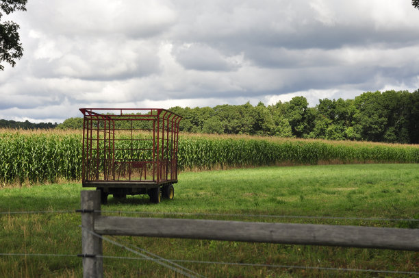 木栅栏后的玉米地图片下载