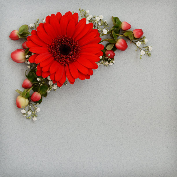 装饰角落的红白花图片下载