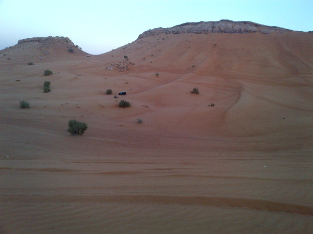 野生沙漠图片下载