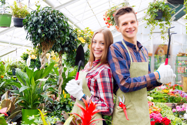 在温室工作素材图片