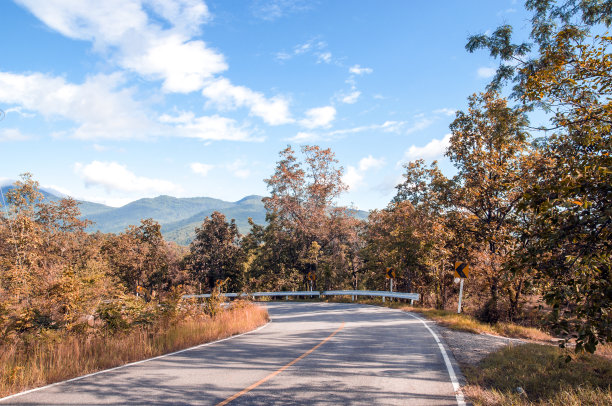 到美雅的自然路线图片下载