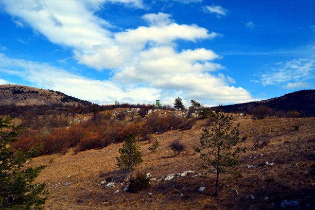潜伏的地方/狩猎的地方图片下载