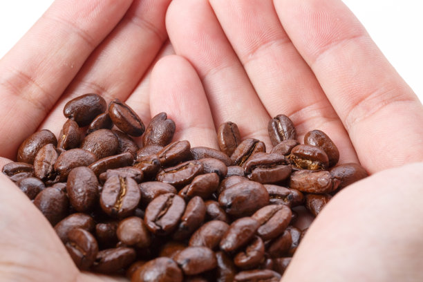 满手的咖啡豆图片下载