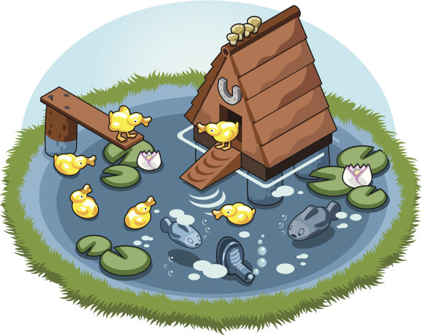 嘎嘎叫的鸭子在池塘里围着鸭窝游泳图片下载