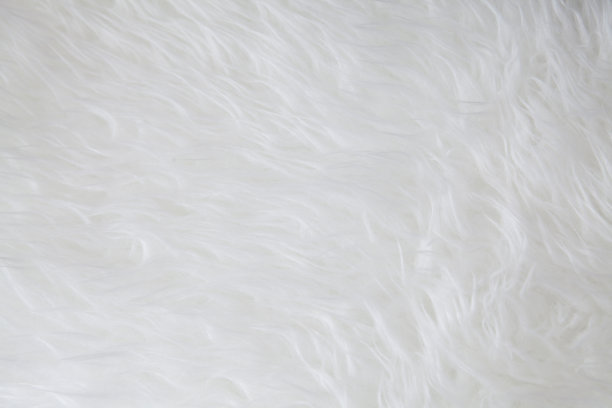 白色羊皮地毯纹理图片下载