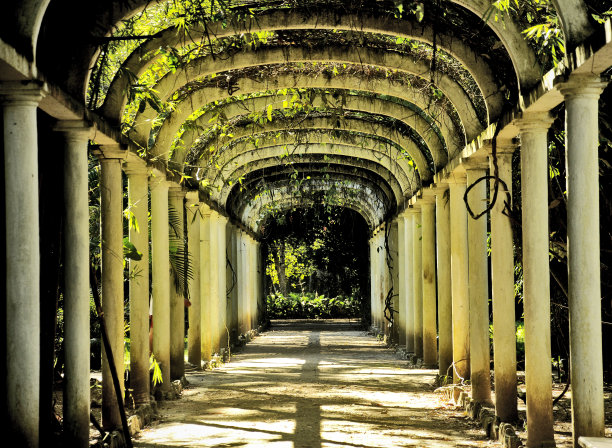 自然爱情隧道图片下载