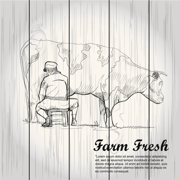 木质板的老式农场背景。图片下载