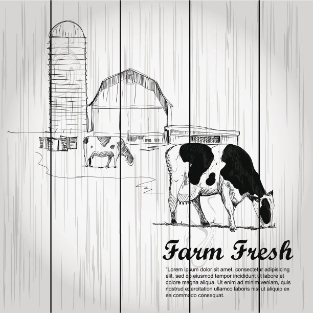 木质板的老式农场背景。图片下载