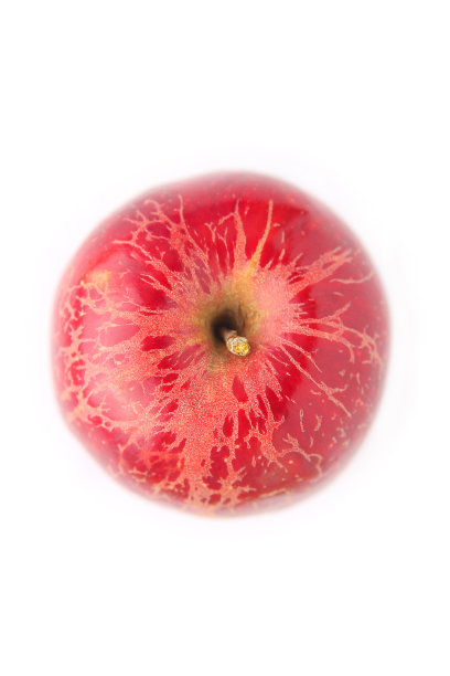 白色背景上的红苹果图片下载