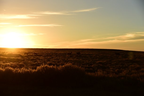 野马景区环路图片下载