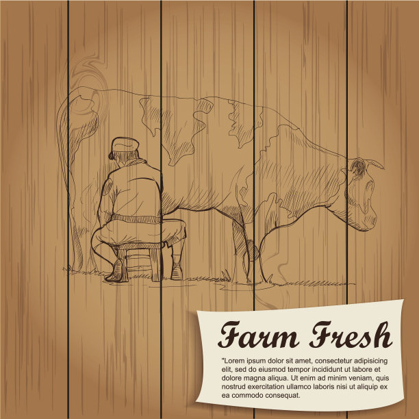 木质板的老式农场背景。图片下载