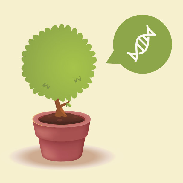 花盆中的植物:DNA的概念图片下载