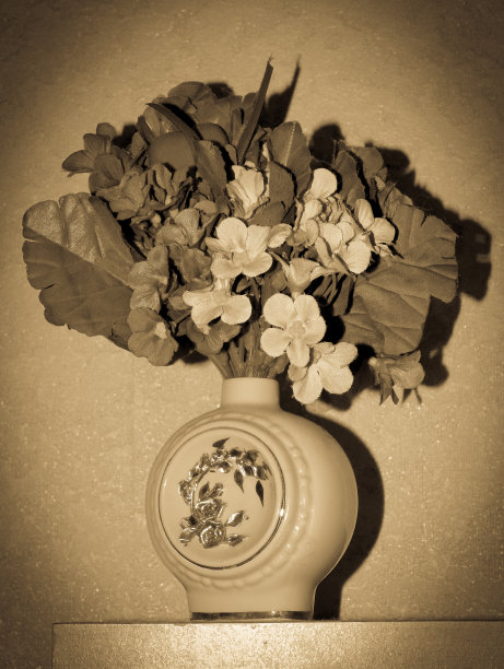 陈年的一碗花图片下载