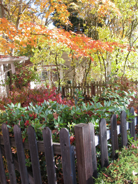 门在秋天图片下载