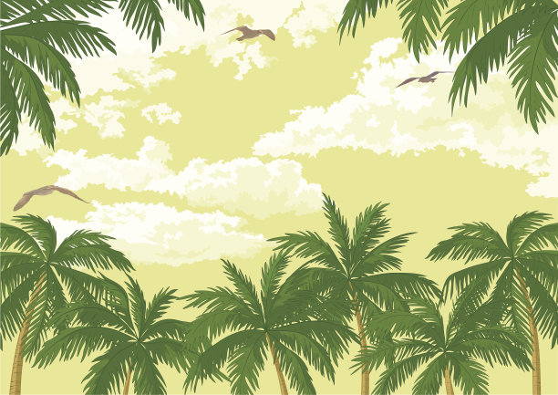 热带景观，棕榈树，海鸥和天空图片下载