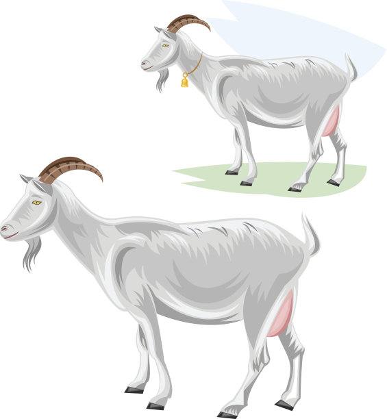 山羊图片下载