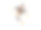 年轻甜美的芭蕾舞女演员和舞蹈老师一起上芭蕾课图片下载