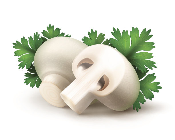 全白和半白蘑菇加欧芹图片下载