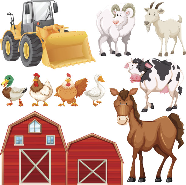 一组农场动物和谷仓图片下载