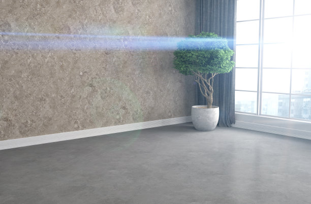 内部有大窗户。三维演示图片下载