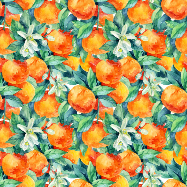 水彩柑桔果枝与叶无缝图案图片下载