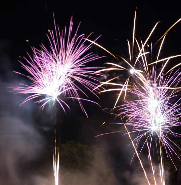 鞭炮花图片素材ID：140449552