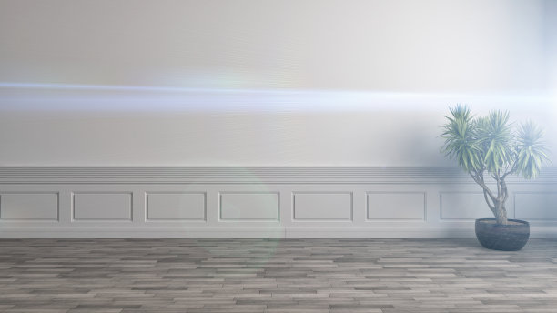 室内植物。三维演示图片下载