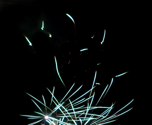 鞭炮花图片素材ID：140452228